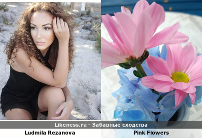 Ludmila Rezanova напоминает Pink Flowers