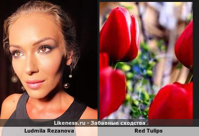 Ludmila Rezanova напоминает Red Tulips