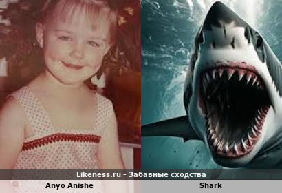Anyo Anishe напоминает Shark