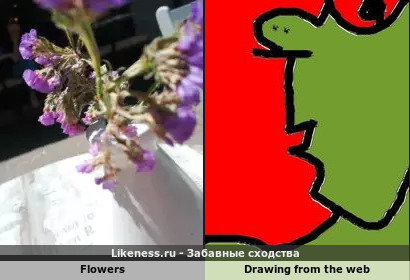 Flowers напоминает Drawing from the web