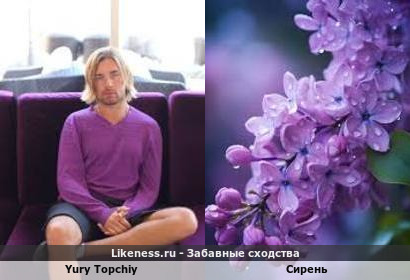 Yury Topchiy напоминает Сирень