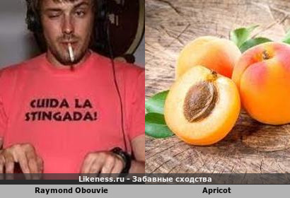 Raymond Obouvie напоминает Apricot