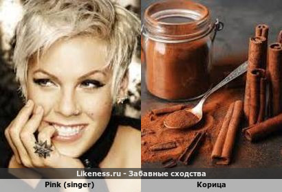 Pink (singer) напоминает Корица