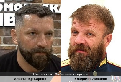 Александр Карпов похож на Владимира Левакова