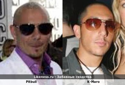 Pitbull напоминает K-Maro
