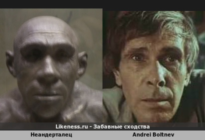 Наши общие предки