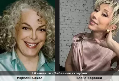 Мэрилин Сокол похожа на Елену Воробей