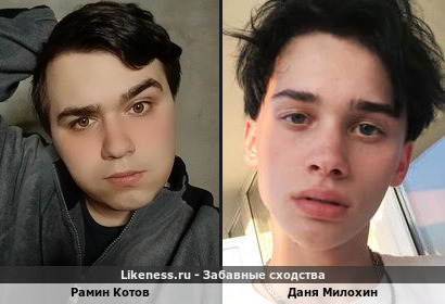 Рамин Котов похож на Даня Милохин