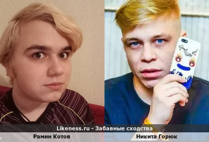 Рамин Котов похож на Никиту Горюка