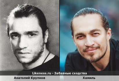 Анатолий Крупнов похож на Хамиля