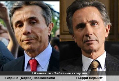 Бидзина (Борис) Иванишвили похожа на Тьерри Лермитта