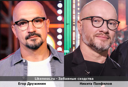 Егор Дружинин похож на Никиту Панфилова