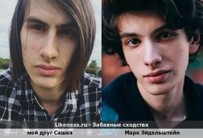 Мой Друг Сашка похож на Марка Эйдельштейна