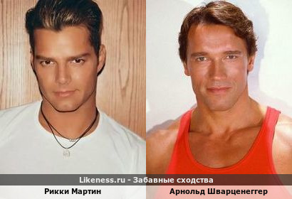 Рикки Мартин похож на Арнольда Шварценеггера