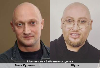 Гоша Куценко похож на Шуру