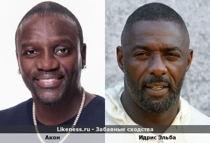Акон похож на Идриса Эльбу