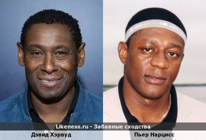 Дэвид Хэрвуд похож на Пьера Нарцисса