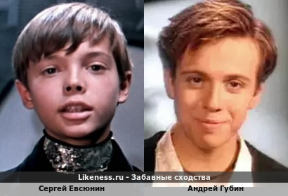 Сергей Евсюнин похож на Андрея Губина