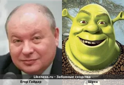 Егор Гайдар похож на Шрека