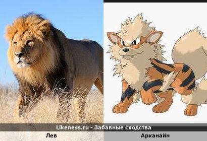 Лев напоминает арканайн