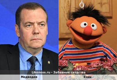 Медведев похож на Еника