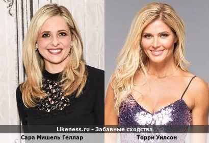 Сара Мишель Геллар похожа на Торри Уилсон