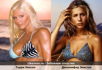 Торри Уилсон похожа на Дженнифер Энистон