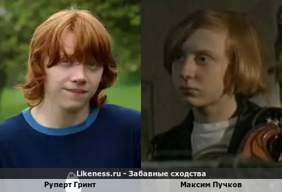 Руперт Гринт похож на Максима Пучкова