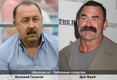 Валерий Газзаев похож на Дона Фрай