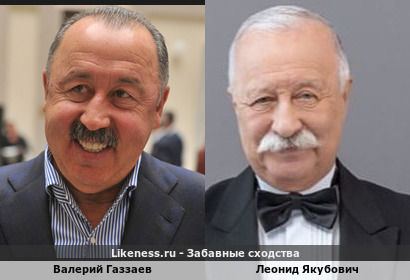 Валерий Газзаев похож на Леонида Якубовича