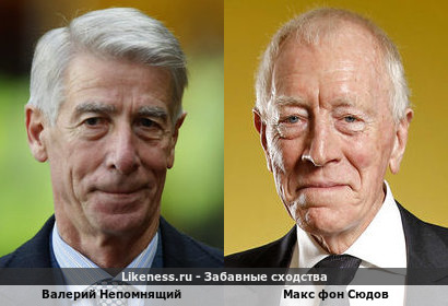 Валерий Непомнящий похож на Макса фон Сюдов