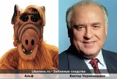 Альф похож на Виктора Черномырдина