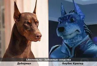 Доберман похож на Анубиса Крюгера