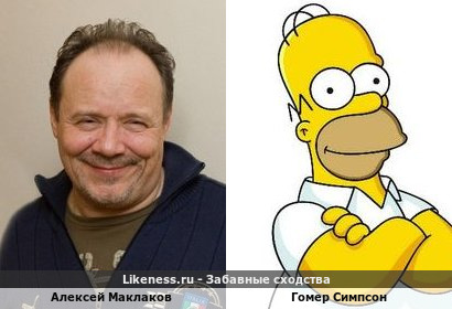 Алексей Маклаков похож на Гомер Симпсона