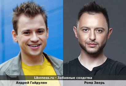 Андрей Гайдулян похож на Рома Зверь