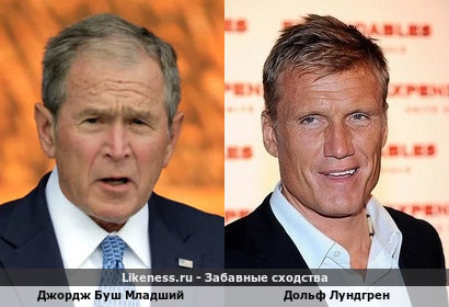 Джордж Буш Младший похож на Дольфа Лундгрена