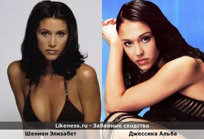 Шеннон Элизабет похожа на Джессику Альба