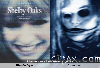 Постер фильма ужасов "Шелби Оукс" напоминает постер "Страх.com"