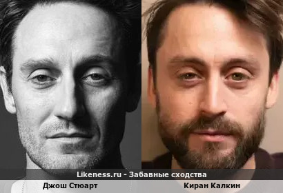 Джош Стюарт похож на Кирана Калкина