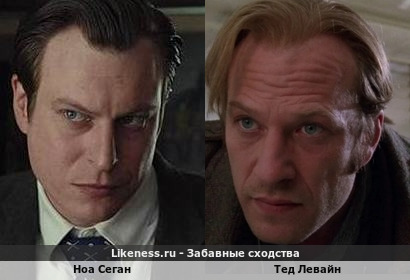 Ноа Сеган похож на Теда Левайна