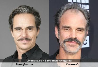 Тони Далтон похожа на Стивена Огга