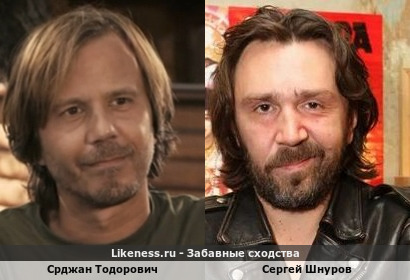 Срджан Тодорович похож на Шнура