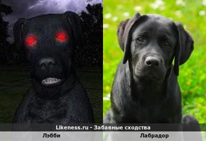 Лэбби из мультфильма "Куда покойники уходят умирать" похож на чёрного лабрадора