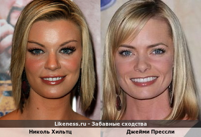 Николь Хильтц похожа на Джейми Прессли