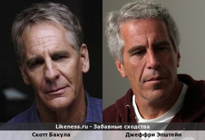 Скотт Бакула похож на Джеффри Эпштейна