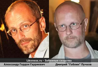 Александр Гордон Гарриевич похож на Дмитрия "Гоблина" Пучкова