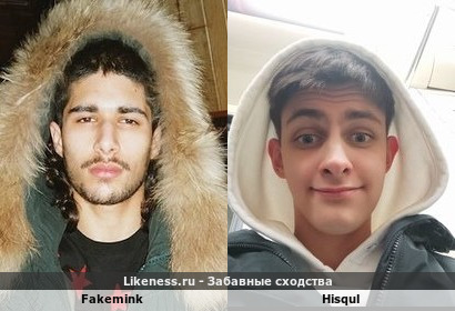 Fakemink напоминает Hisqul