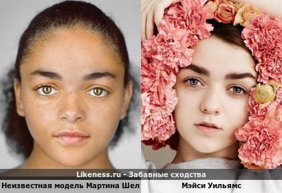 Неизвестная модель Мартина Шелера похожа на Мэйси Уильямс