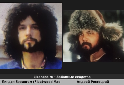 Линдси Бэкингем (Fleetwood Mac) похожа на Андрея Ростоцкого