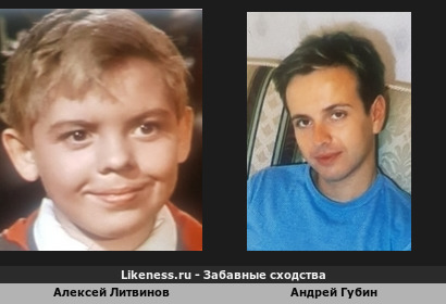 Алексей Литвинов похож на Андрея Губина